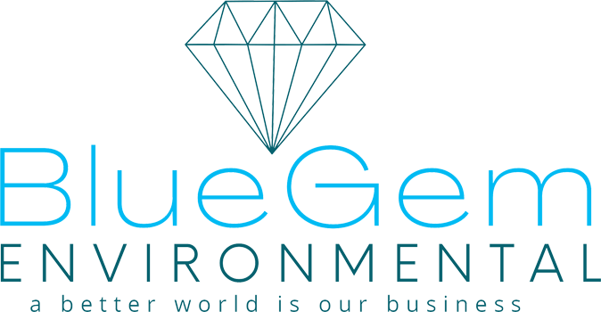 BlueGem Enviornmental